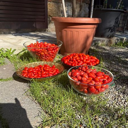 Bed & Breakfast Casale Gregoriano And Apartaments San Gimignano Bagian luar foto
