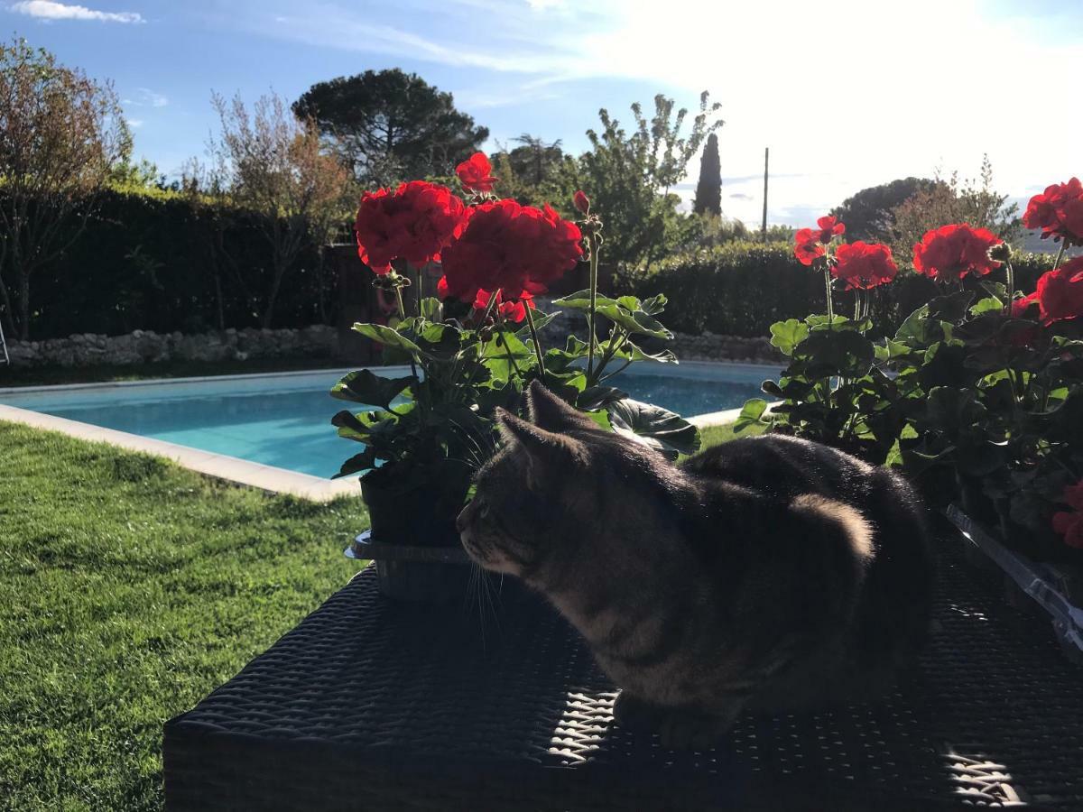 Bed & Breakfast Casale Gregoriano And Apartaments San Gimignano Bagian luar foto